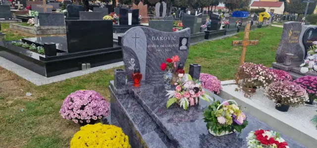 Zaobljeni sivi kameni spomenik s cvijećem i raznobojnim krizantemama